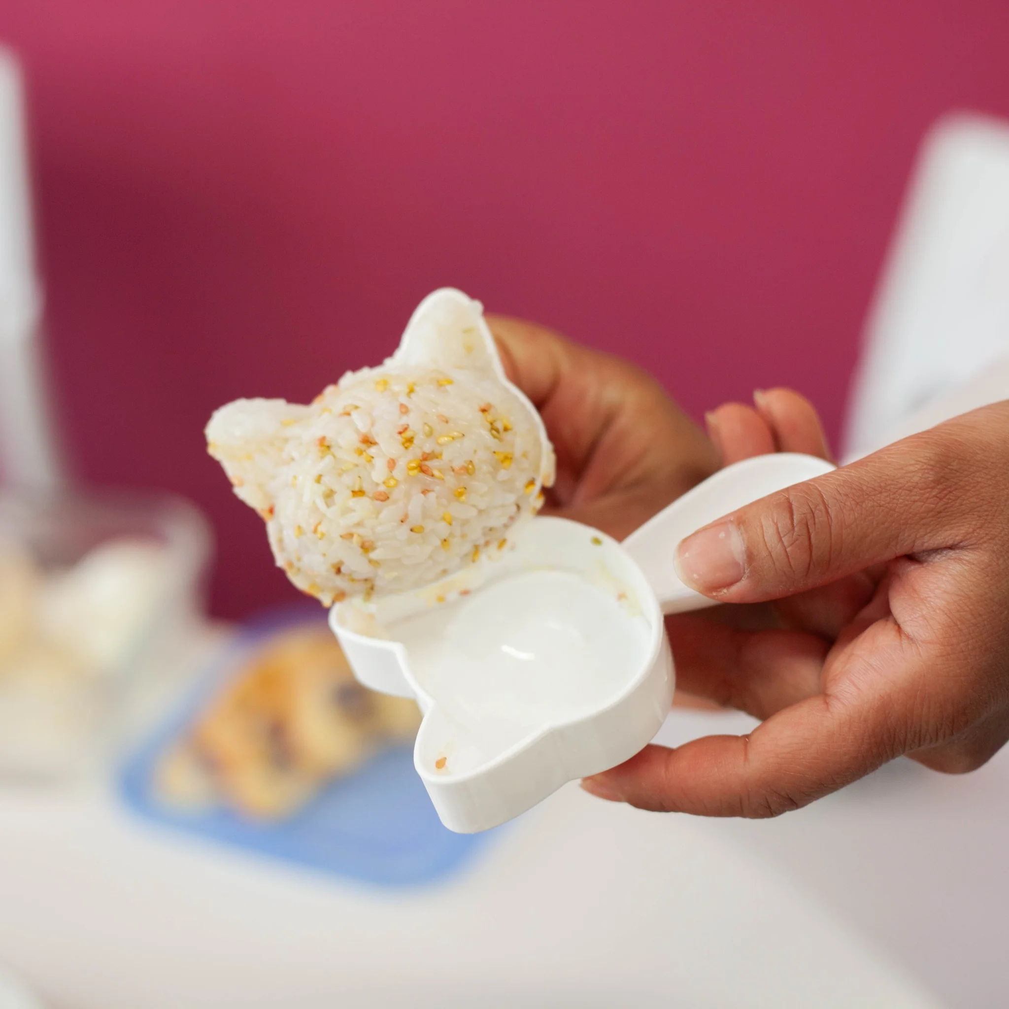 Neko Kao Onigiri Set - Image 5