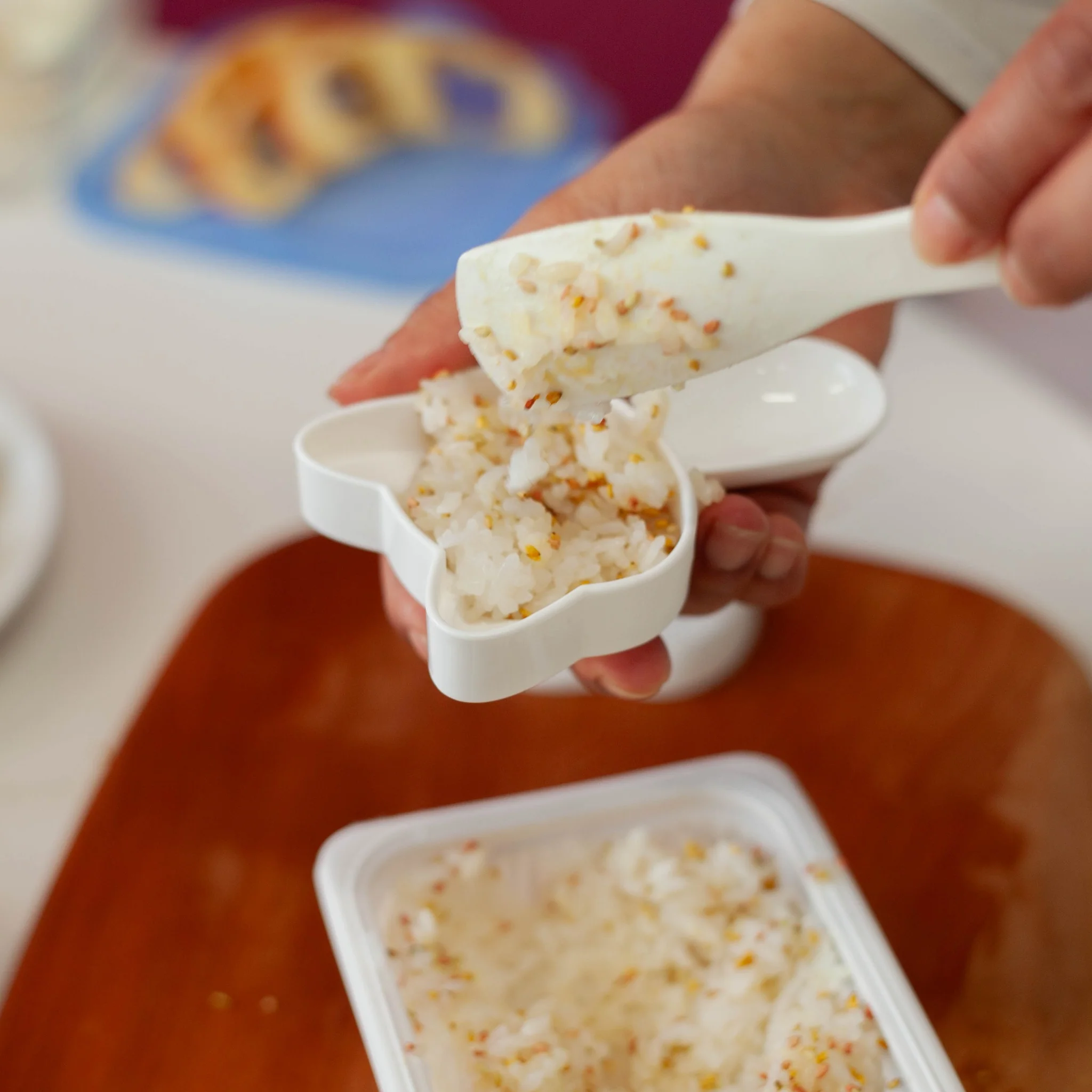 Neko Kao Onigiri Set - Image 6